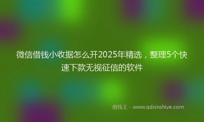 微信借钱小收据怎么开2025年精选，整理5个快速下款无视征信的软件