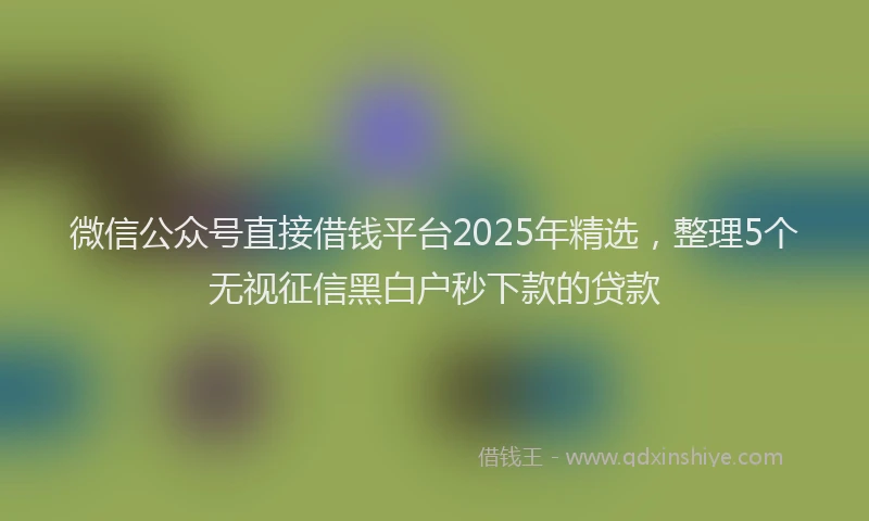 微信公众号直接借钱平台2025年精选，整理5个无视征信黑白户秒下款的贷款