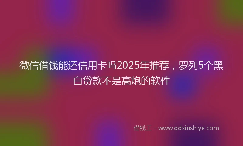 微信借钱能还信用卡吗2025年推荐，罗列5个黑白贷款不是高炮的软件
