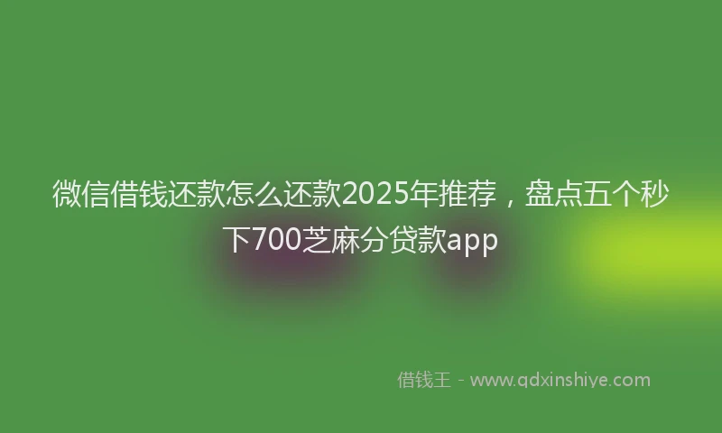 微信借钱还款怎么还款2025年推荐，盘点五个秒下700芝麻分贷款app