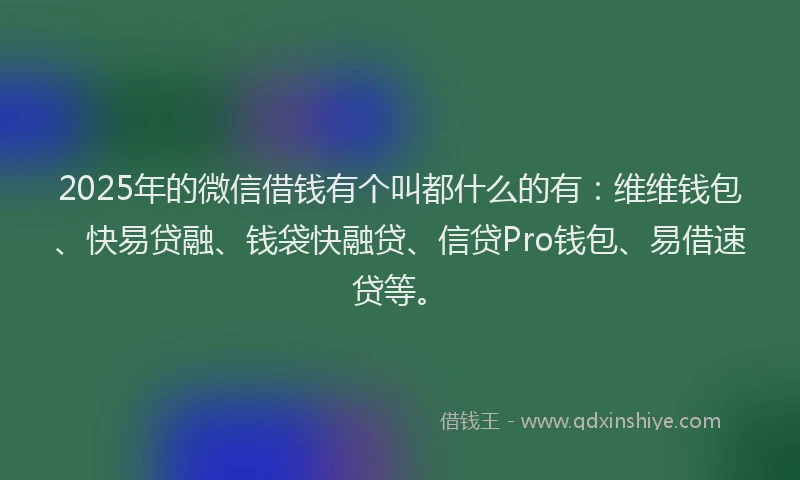 2025年的微信借钱有个叫都什么的有：维维钱包、快易贷融、钱袋快融贷、信贷Pro钱包、易借速贷等。