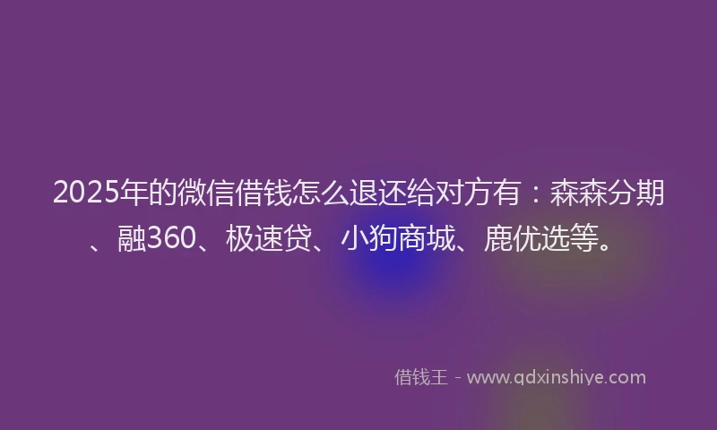 2025年的微信借钱怎么退还给对方有：森森分期、融360、极速贷、小狗商城、鹿优选等。