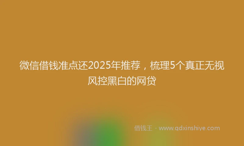 微信借钱准点还2025年推荐，梳理5个真正无视风控黑白的网贷