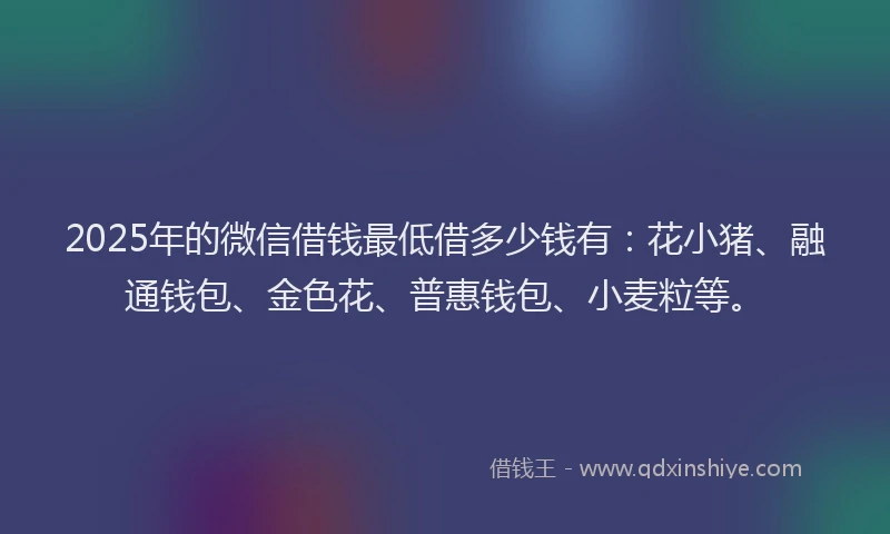 2025年的微信借钱最低借多少钱有：花小猪、融通钱包、金色花、普惠钱包、小麦粒等。