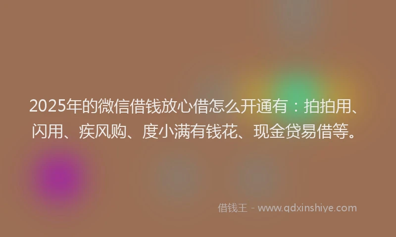 2025年的微信借钱放心借怎么开通有：拍拍用、闪用、疾风购、度小满有钱花、现金贷易借等。