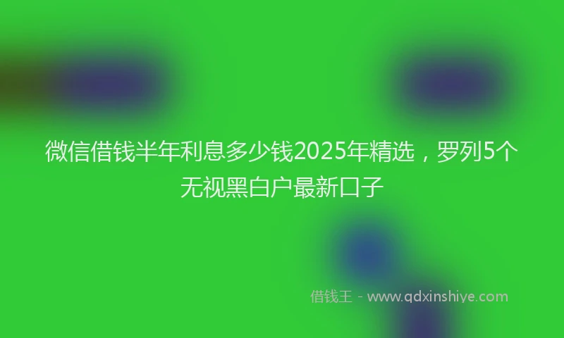 微信借钱半年利息多少钱2025年精选，罗列5个无视黑白户最新口子