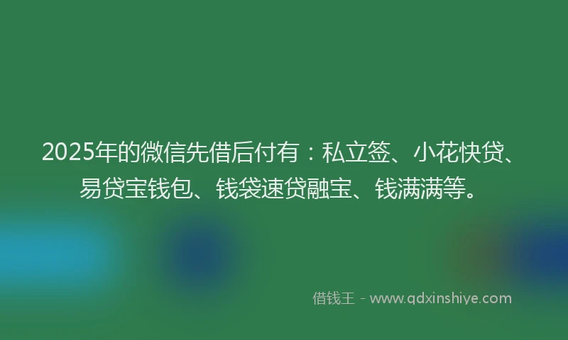 2025年的微信先借后付有：私立签、小花快贷、易贷宝钱包、钱袋速贷融宝、钱满满等。
