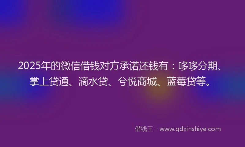 2025年的微信借钱对方承诺还钱有：哆哆分期、掌上贷通、滴水贷、兮悦商城、蓝莓贷等。