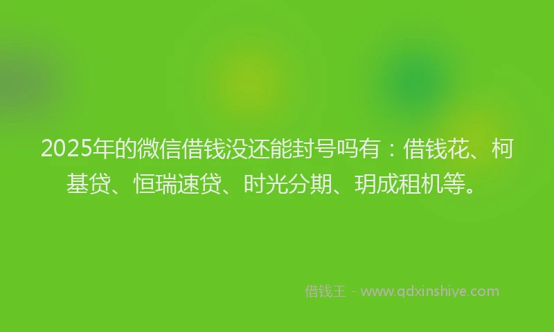 2025年的微信借钱没还能封号吗有：借钱花、柯基贷、恒瑞速贷、时光分期、玥成租机等。