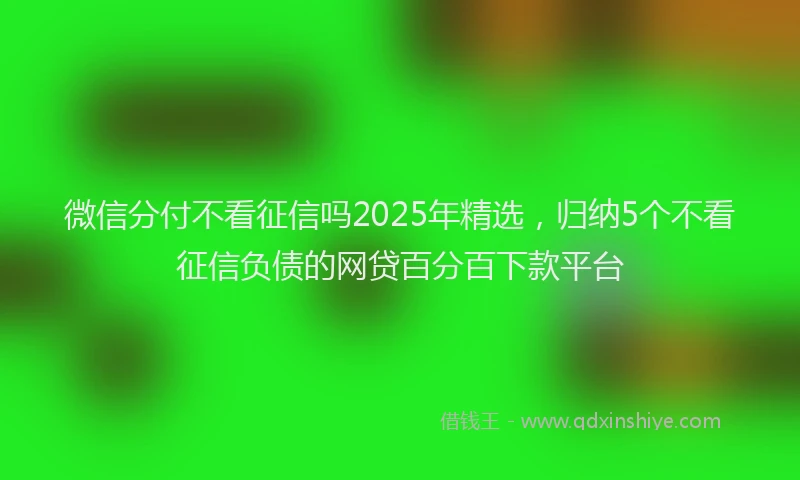 微信分付不看征信吗2025年精选，归纳5个不看征信负债的网贷百分百下款平台