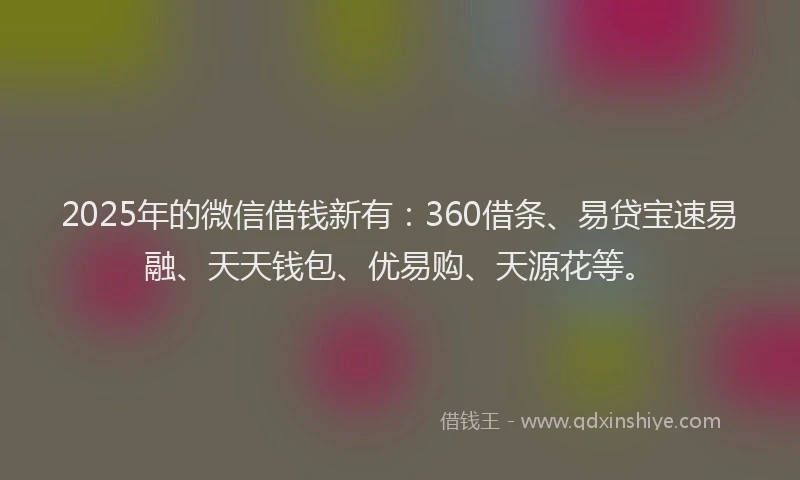 2025年的微信借钱新有：360借条、易贷宝速易融、天天钱包、优易购、天源花等。