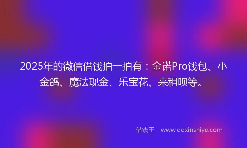 2025年的微信借钱拍一拍有：金诺Pro钱包、小金鸽、魔法现金、乐宝花、来租呗等。