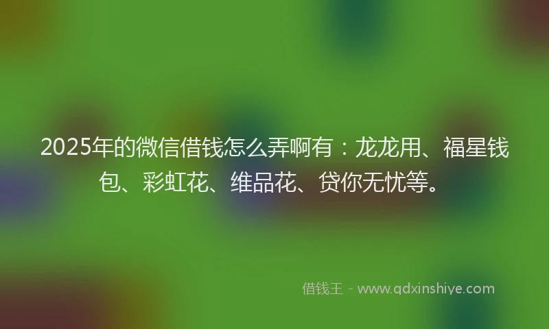 2025年的微信借钱怎么弄啊有：龙龙用、福星钱包、彩虹花、维品花、贷你无忧等。
