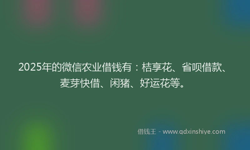 2025年的微信农业借钱有：桔享花、省呗借款、麦芽快借、闲猪、好运花等。