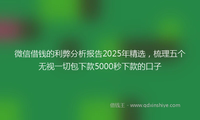 微信借钱的利弊分析报告2025年精选，梳理五个无视一切包下款5000秒下款的口子