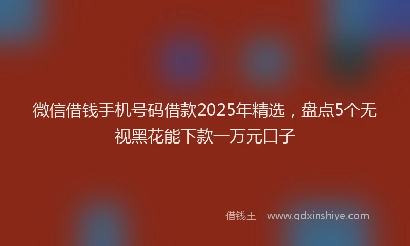 微信借钱手机号码借款2025年精选，盘点5个无视黑花能下款一万元口子