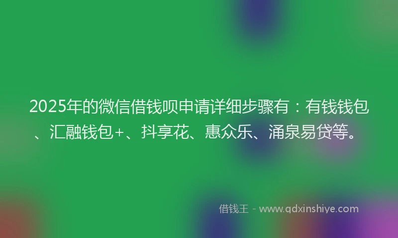 2025年的微信借钱呗申请详细步骤有：有钱钱包、汇融钱包+、抖享花、惠众乐、涌泉易贷等。
