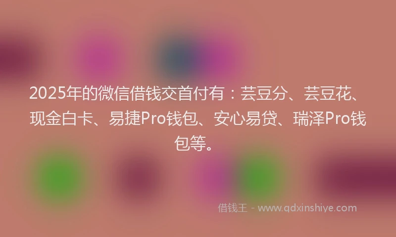2025年的微信借钱交首付有：芸豆分、芸豆花、现金白卡、易捷Pro钱包、安心易贷、瑞泽Pro钱包等。