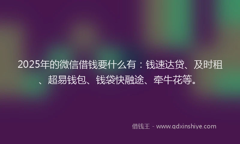 2025年的微信借钱要什么有：钱速达贷、及时租、超易钱包、钱袋快融途、牵牛花等。