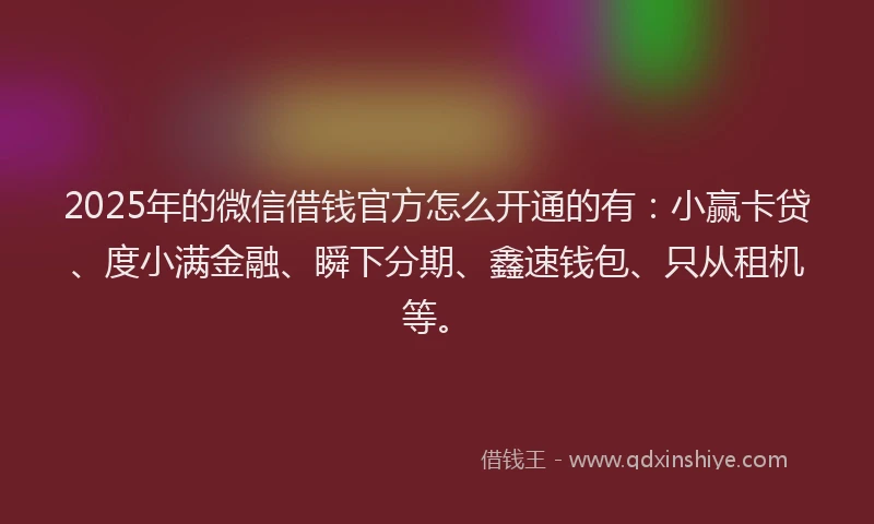2025年的微信借钱官方怎么开通的有：小赢卡贷、度小满金融、瞬下分期、鑫速钱包、只从租机等。