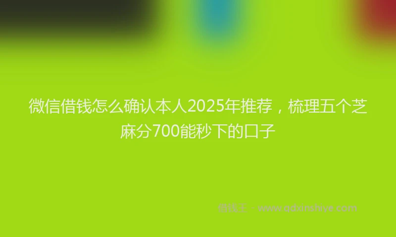 微信借钱怎么确认本人2025年推荐，梳理五个芝麻分700能秒下的口子