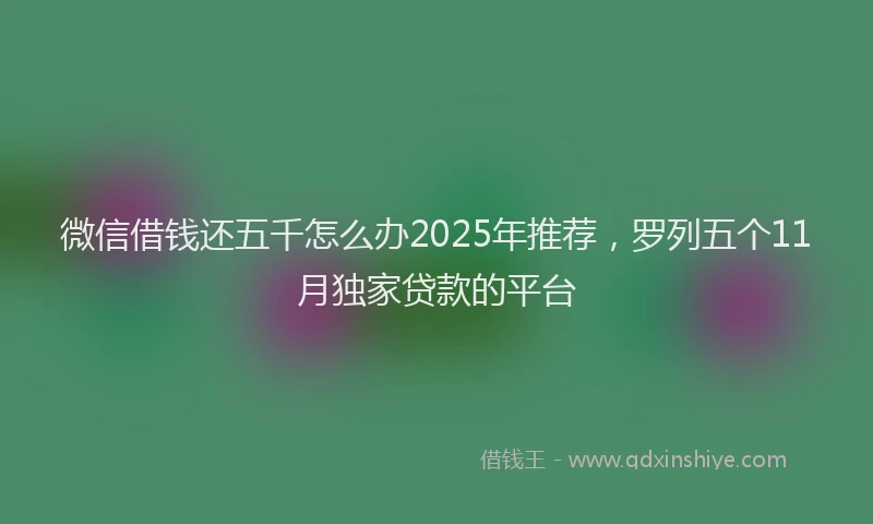 微信借钱还五千怎么办2025年推荐，罗列五个11月独家贷款的平台