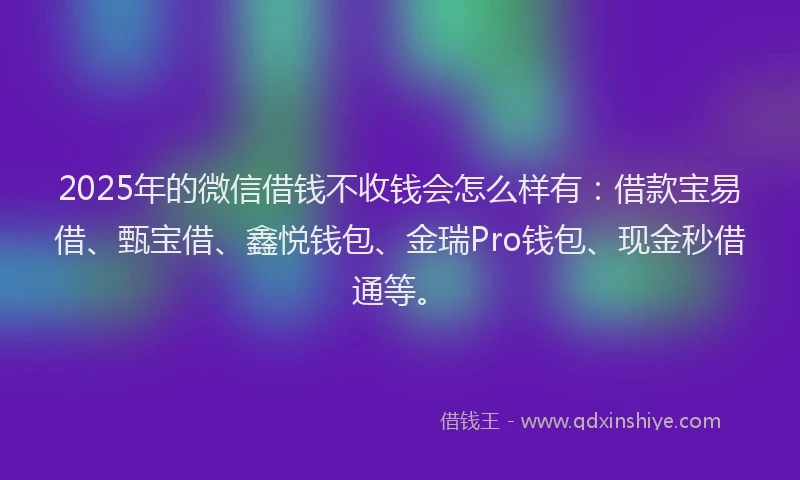 2025年的微信借钱不收钱会怎么样有：借款宝易借、甄宝借、鑫悦钱包、金瑞Pro钱包、现金秒借通等。