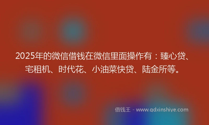 2025年的微信借钱在微信里面操作有：臻心贷、宅租机、时代花、小油菜快贷、陆金所等。