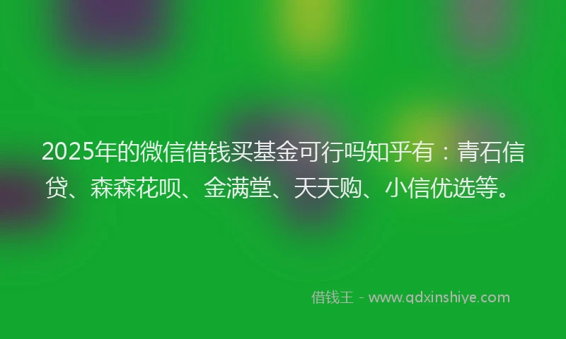 2025年的微信借钱买基金可行吗知乎有：青石信贷、森森花呗、金满堂、天天购、小信优选等。