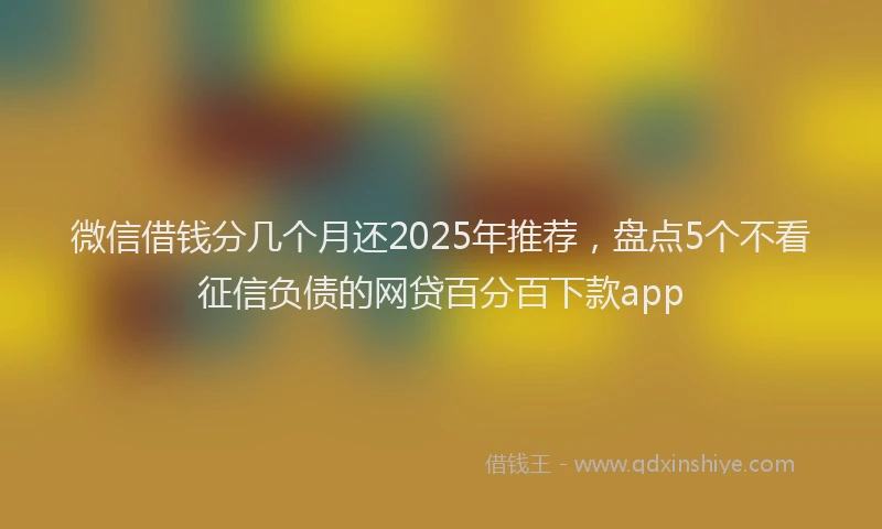 微信借钱分几个月还2025年推荐，盘点5个不看征信负债的网贷百分百下款app