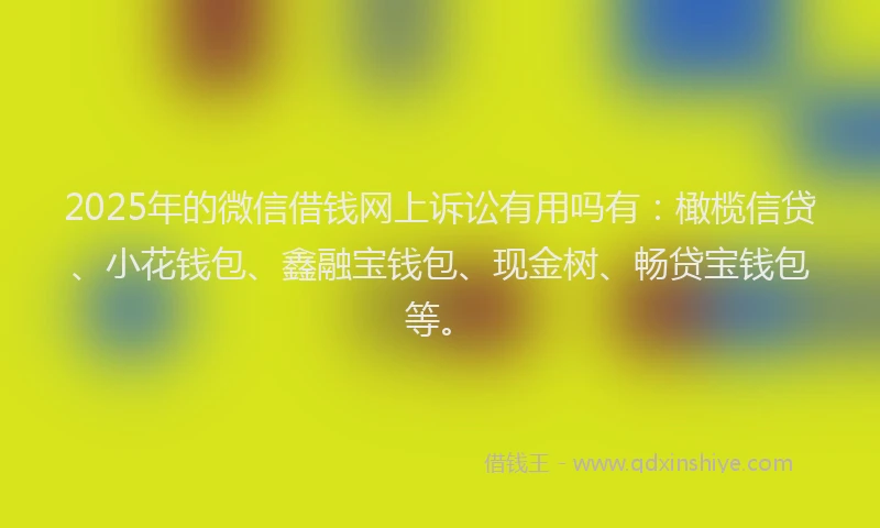 2025年的微信借钱网上诉讼有用吗有：橄榄信贷、小花钱包、鑫融宝钱包、现金树、畅贷宝钱包等。