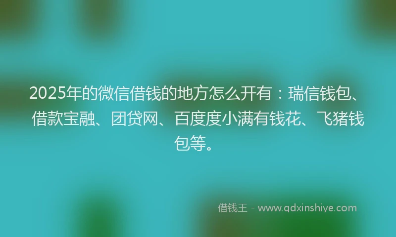 2025年的微信借钱的地方怎么开有：瑞信钱包、借款宝融、团贷网、百度度小满有钱花、飞猪钱包等。