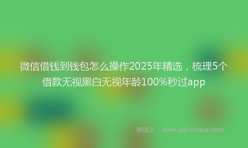 微信借钱到钱包怎么操作2025年精选，梳理5个借款无视黑白无视年龄100%秒过app