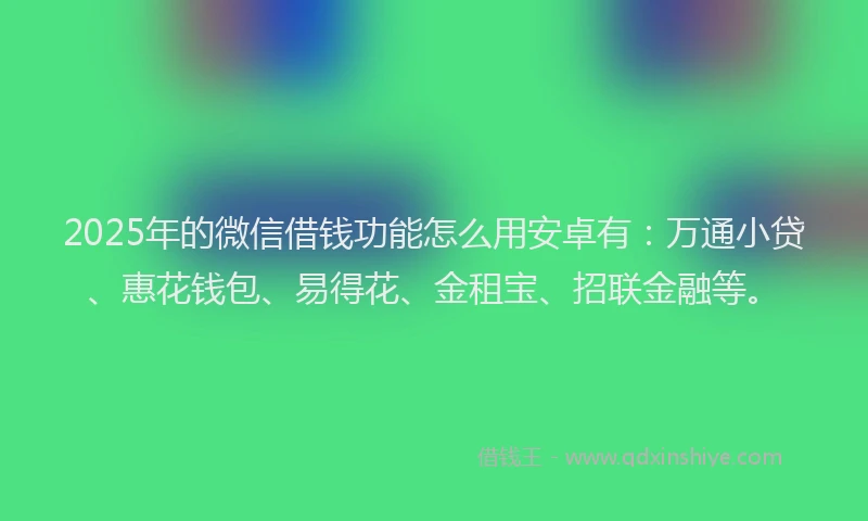 2025年的微信借钱功能怎么用安卓有：万通小贷、惠花钱包、易得花、金租宝、招联金融等。