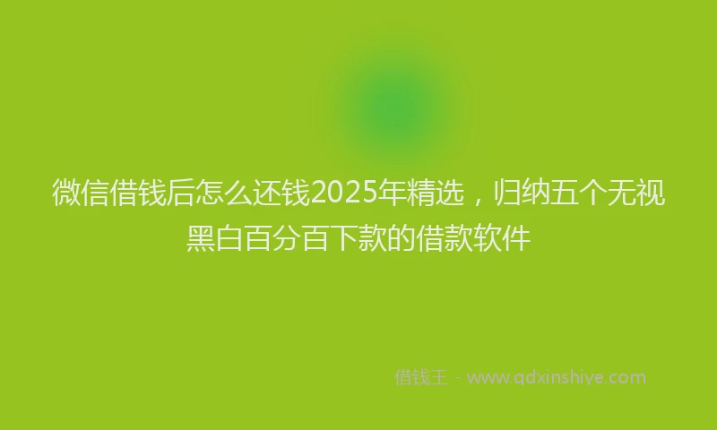 微信借钱后怎么还钱2025年精选，归纳五个无视黑白百分百下款的借款软件
