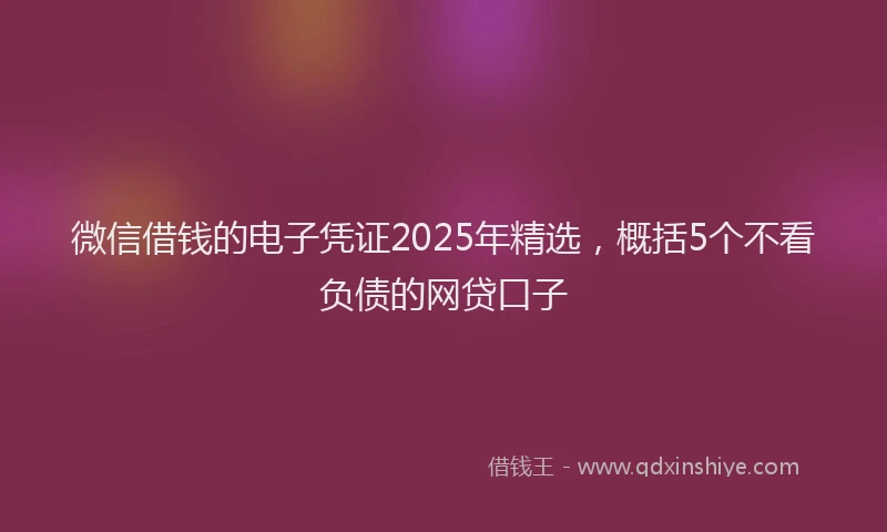 微信借钱的电子凭证2025年精选，概括5个不看负债的网贷口子