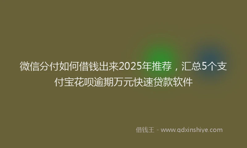微信分付如何借钱出来2025年推荐，汇总5个支付宝花呗逾期万元快速贷款软件