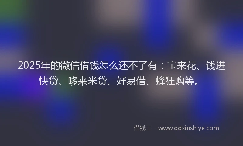 2025年的微信借钱怎么还不了有：宝来花、钱进快贷、哆来米贷、好易借、蜂狂购等。