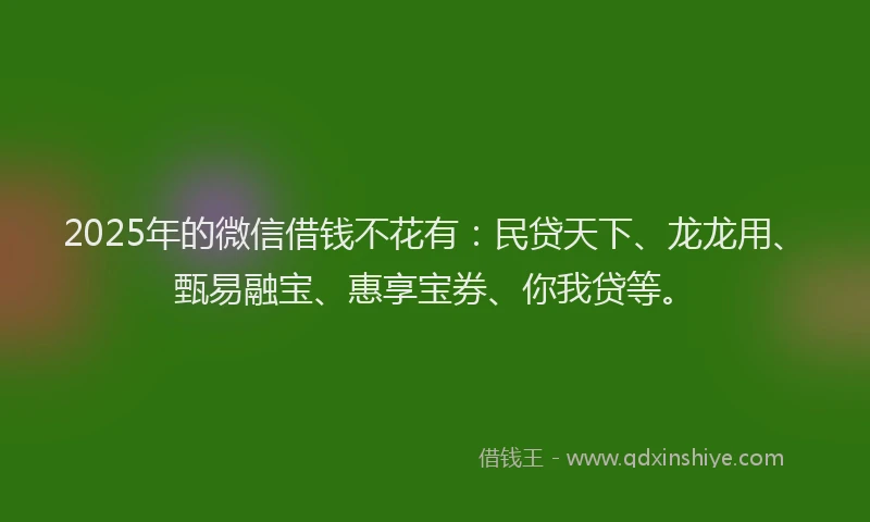 2025年的微信借钱不花有：民贷天下、龙龙用、甄易融宝、惠享宝券、你我贷等。