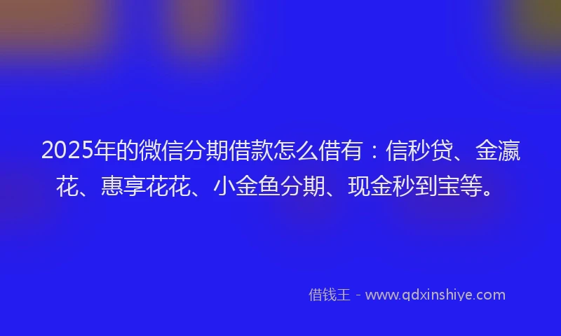 2025年的微信分期借款怎么借有：信秒贷、金瀛花、惠享花花、小金鱼分期、现金秒到宝等。
