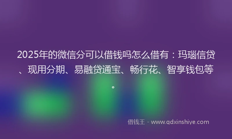 2025年的微信分可以借钱吗怎么借有：玛瑙信贷、现用分期、易融贷通宝、畅行花、智享钱包等。