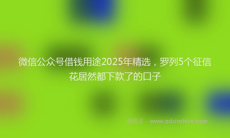 微信公众号借钱用途2025年精选，罗列5个征信花居然都下款了的口子