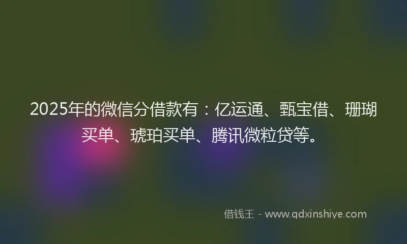 2025年的微信分借款有：亿运通、甄宝借、珊瑚买单、琥珀买单、腾讯微粒贷等。