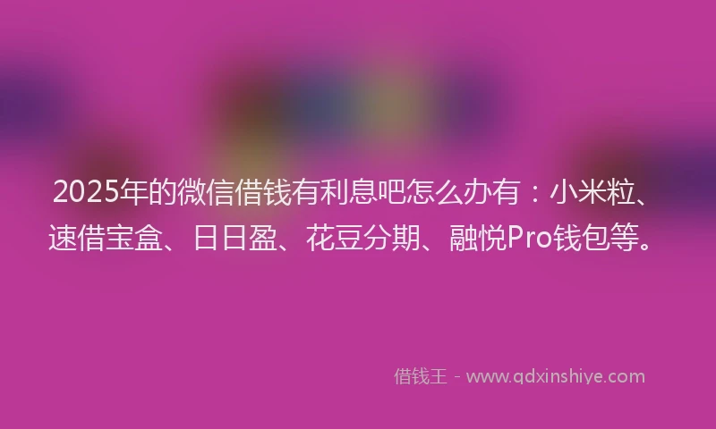 2025年的微信借钱有利息吧怎么办有：小米粒、速借宝盒、日日盈、花豆分期、融悦Pro钱包等。