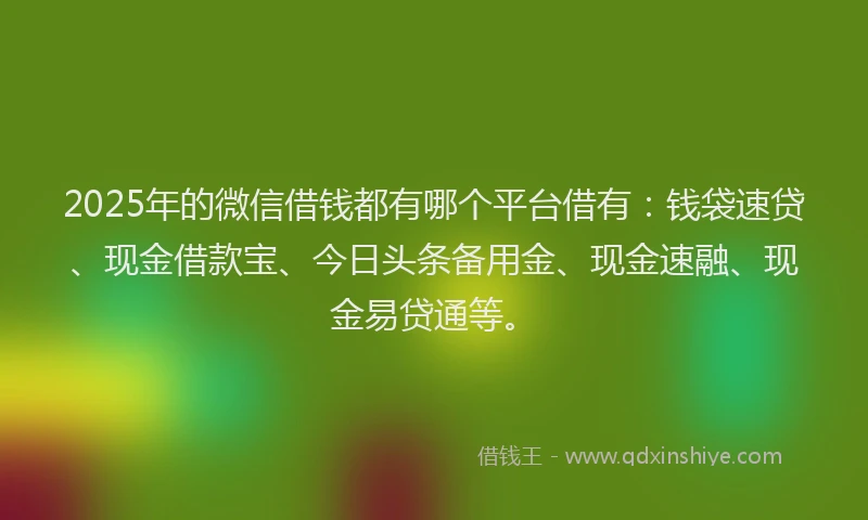 2025年的微信借钱都有哪个平台借有：钱袋速贷、现金借款宝、今日头条备用金、现金速融、现金易贷通等。
