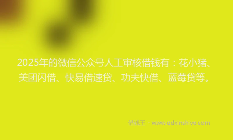 2025年的微信公众号人工审核借钱有：花小猪、美团闪借、快易借速贷、功夫快借、蓝莓贷等。