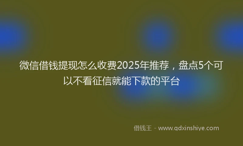微信借钱提现怎么收费2025年推荐，盘点5个可以不看征信就能下款的平台