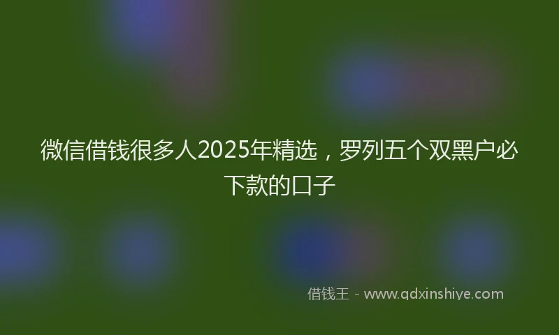 微信借钱很多人2025年精选，罗列五个双黑户必下款的口子