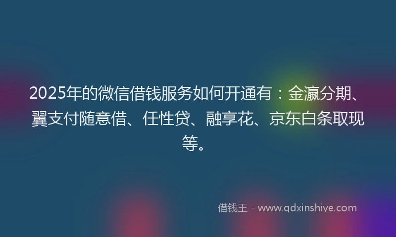 2025年的微信借钱服务如何开通有：金瀛分期、翼支付随意借、任性贷、融享花、京东白条取现等。