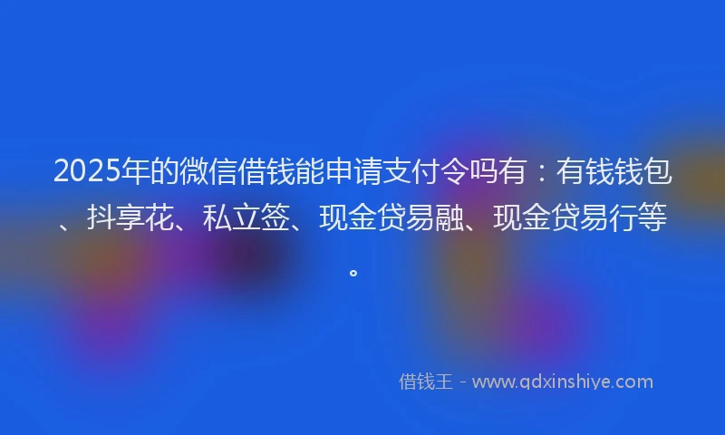 2025年的微信借钱能申请支付令吗有：有钱钱包、抖享花、私立签、现金贷易融、现金贷易行等。